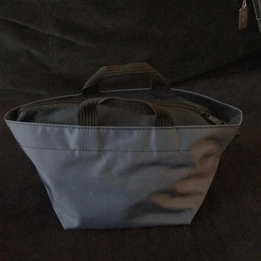 Herve Chapelier handbag